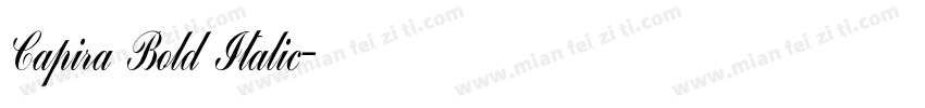 Capira Bold Italic字体转换